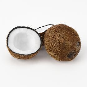 Realistic Coconut